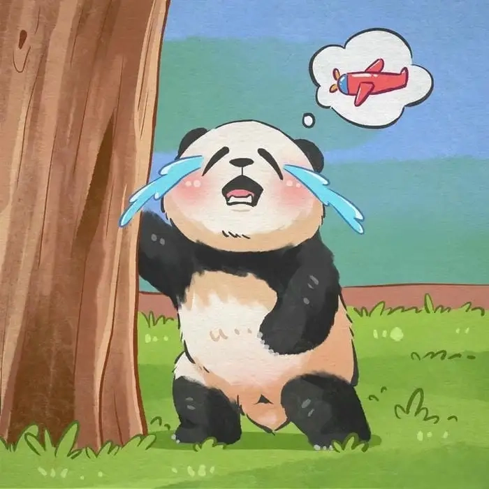 Gấu chibi cute đáng yêu không thể rời mắt