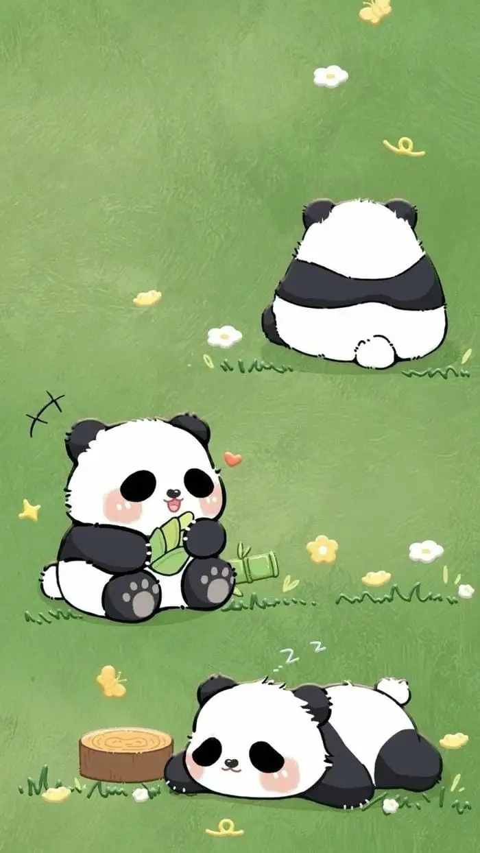 Hình gấu chibi cute thể hiện sự ngọt ngào