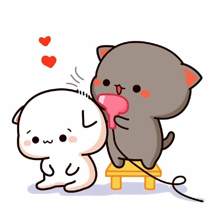Ảnh con mèo chibi bé xíu mà siêu dễ thương