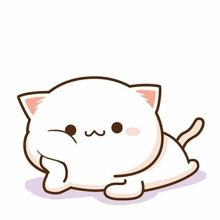 Hình ảnh mèo chibi đẹp xuất sắc từng nét