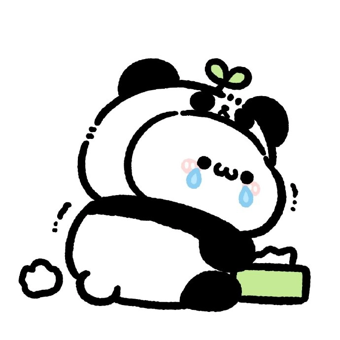 Hình avatar gấu dành cho người thích đáng yêu