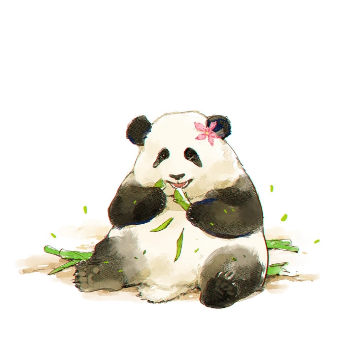 Ảnh avatar con gấu mềm mại vui tươi