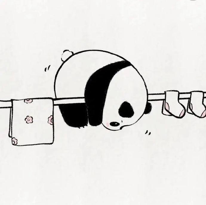 Ảnh avatar gấu cute cho người nhẹ nhàng