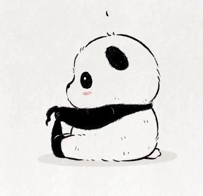 Ảnh đại diện con gấu dành cho profile dịu dàng