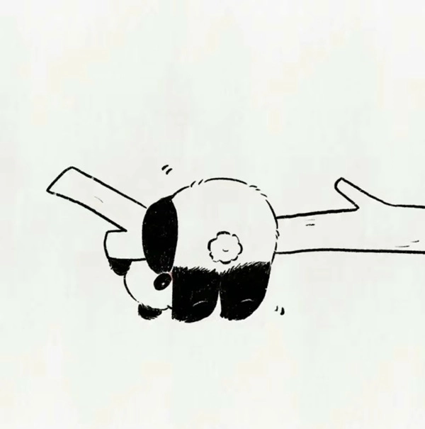 Gấu trúc panda gấu trúc panda mềm mại