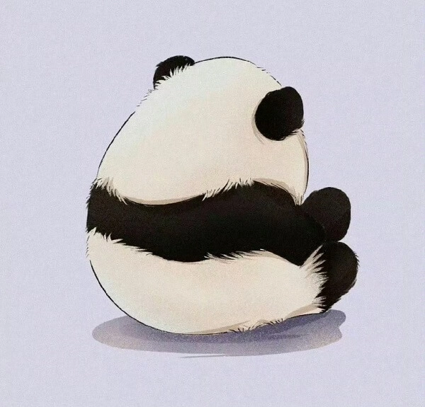 Avatar cute gấu trúc đáng yêu từng khung hình