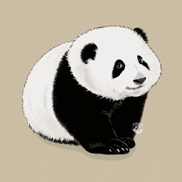 Avatar gấu trúc dễ thương ngộ nghĩnh