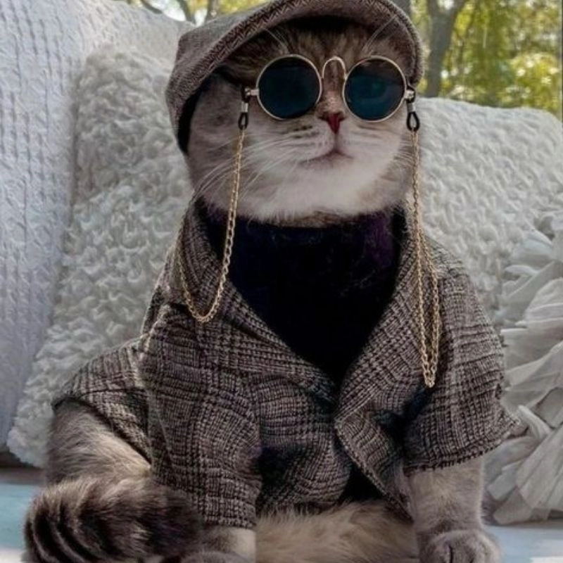 Avatar con mèo cute nhẹ nhàng đáng yêu