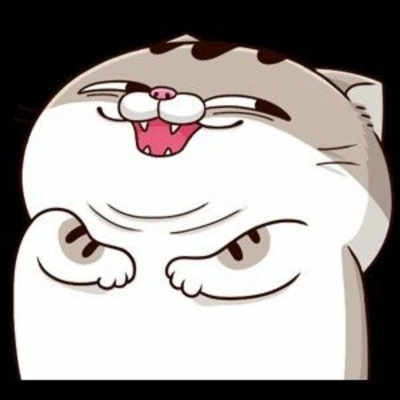 Avatar ảnh mèo mang phong cách dễ thương