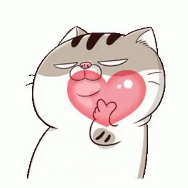 Hình avatar cute mèo đáng yêu vui tươi