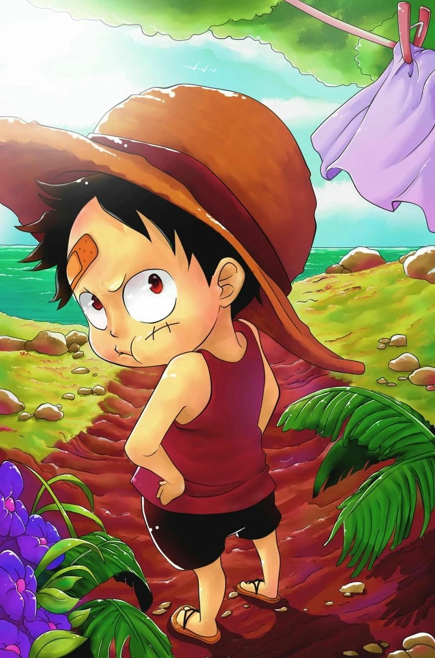 Những hình ảnh đẹp của Luffy thời nhỏ đến lớn