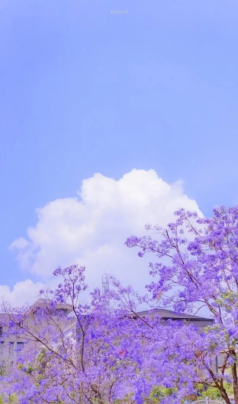 Hình cute màu tím ngọt ngào và đáng yêu