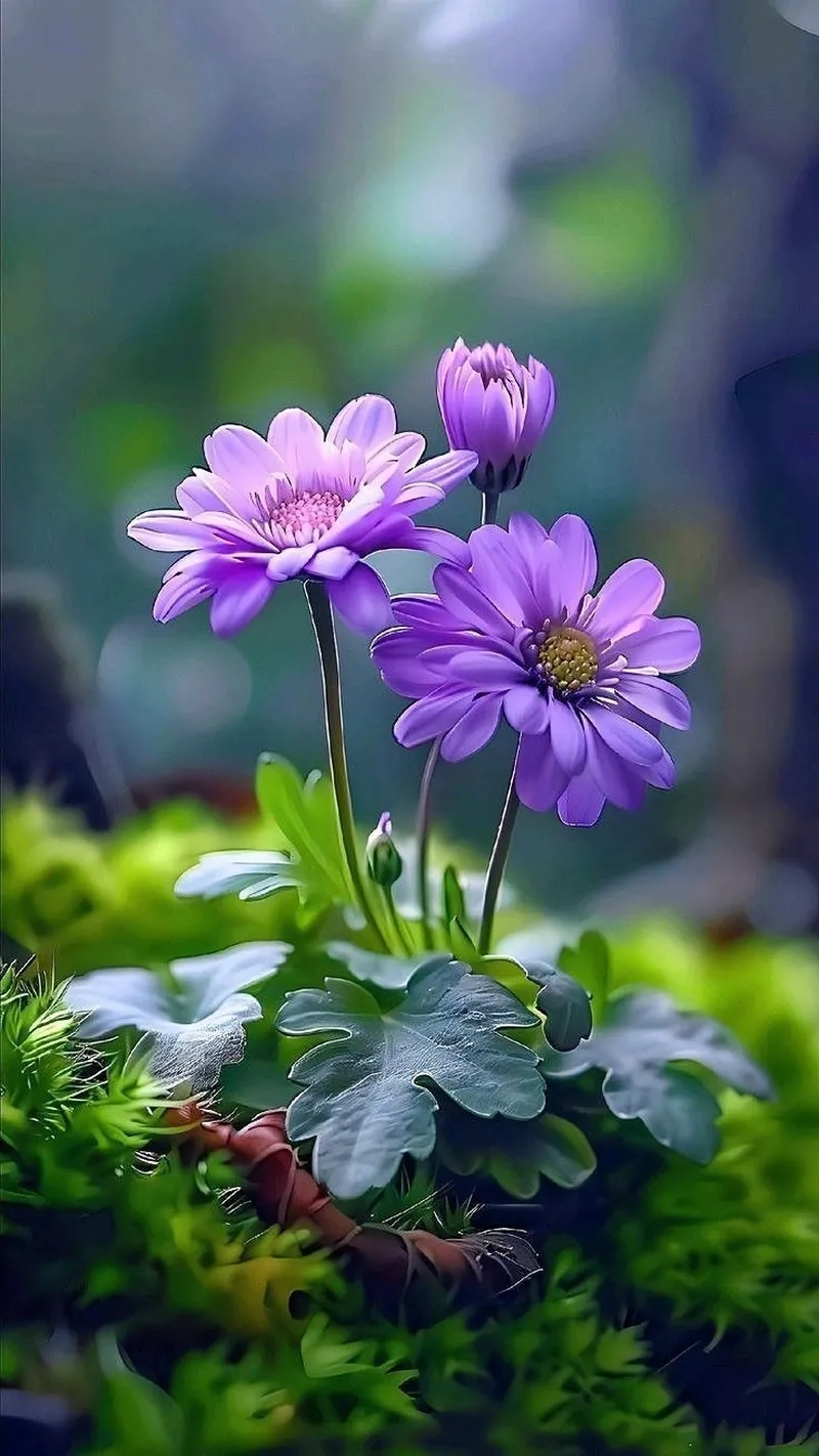 Hình ảnh màu tím dễ thương mang vẻ nữ tính