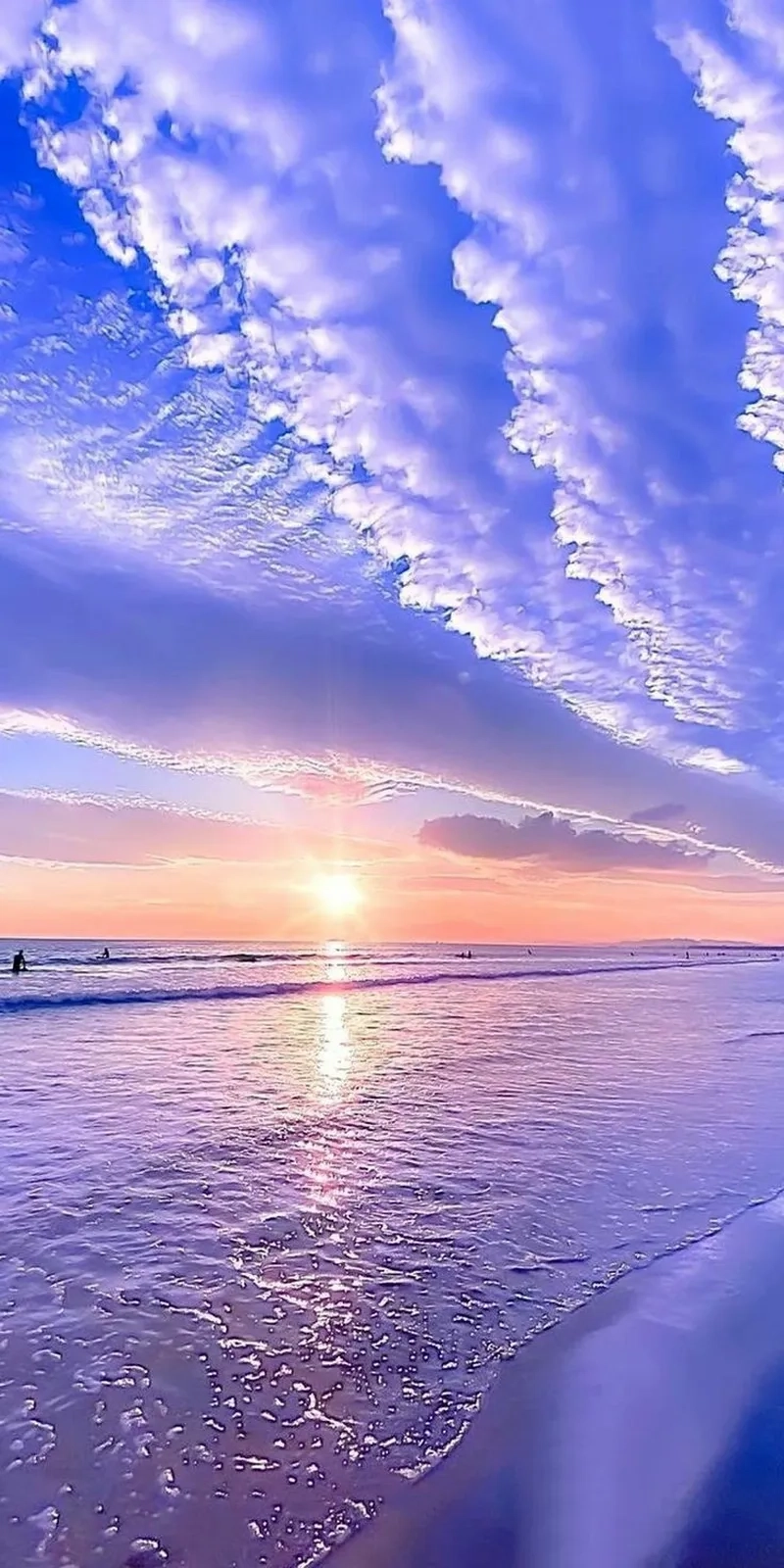 Ảnh màu tím lấp lánh lung linh như sao