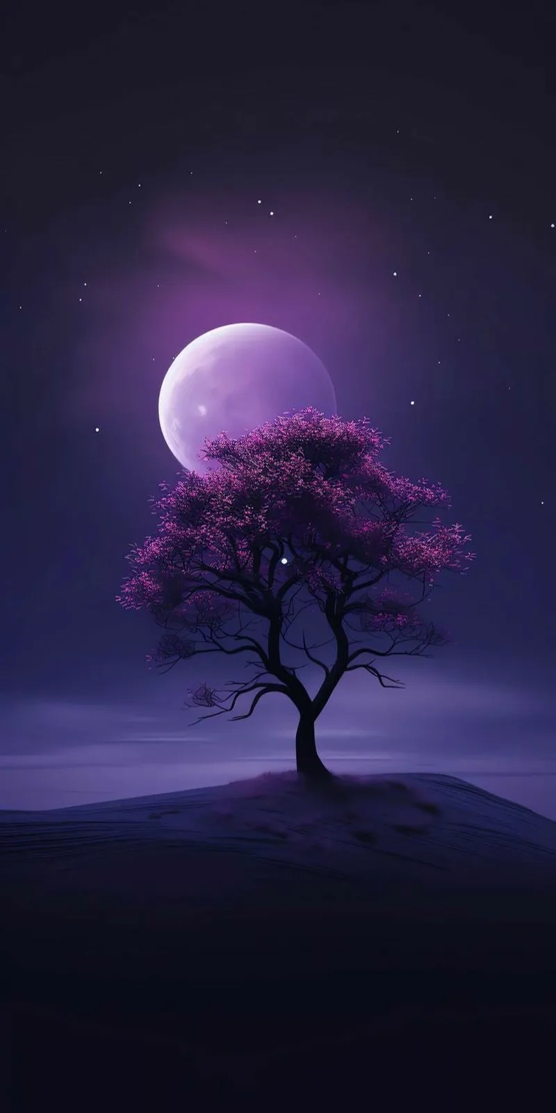 Ảnh màu tím đậm tạo điểm nhấn cho hình ảnh