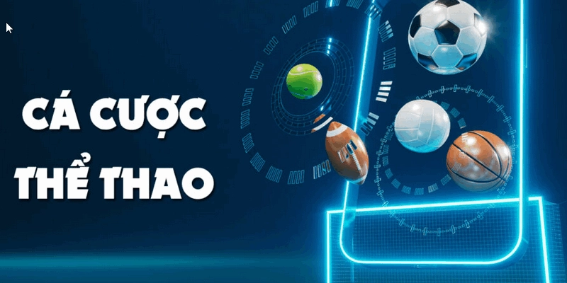 Cách tham gia trải nghiệm cá cược sảnh thể thao của 1Xbit