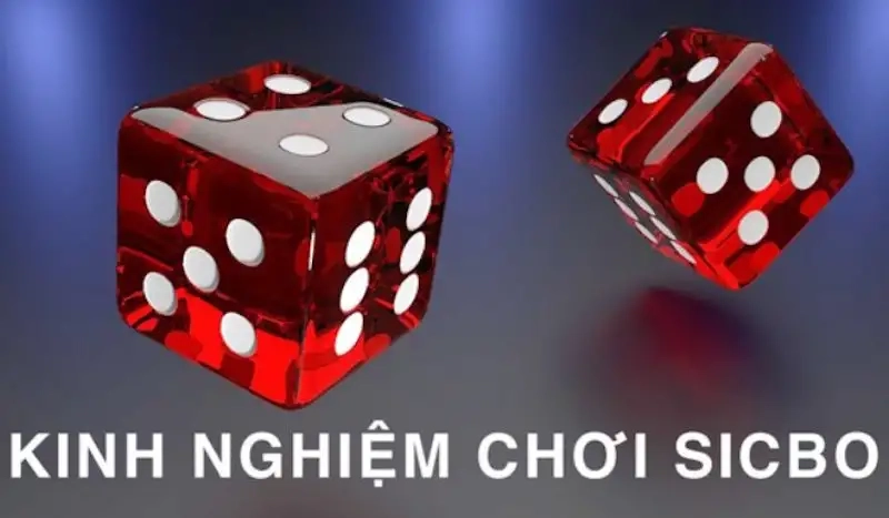 Mẹo chơi Sicbo tại Five88 để gia tăng cơ hội thắng