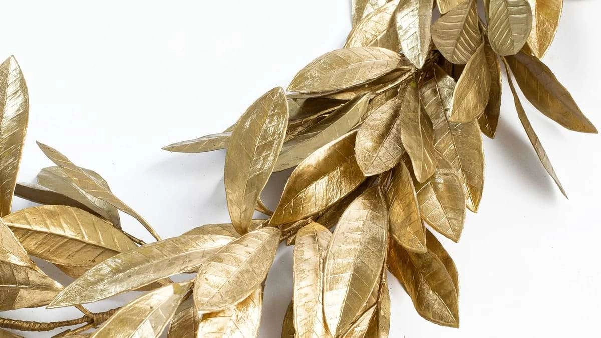Hình nền lá nguyệt quế cho máy tính sang trọng
