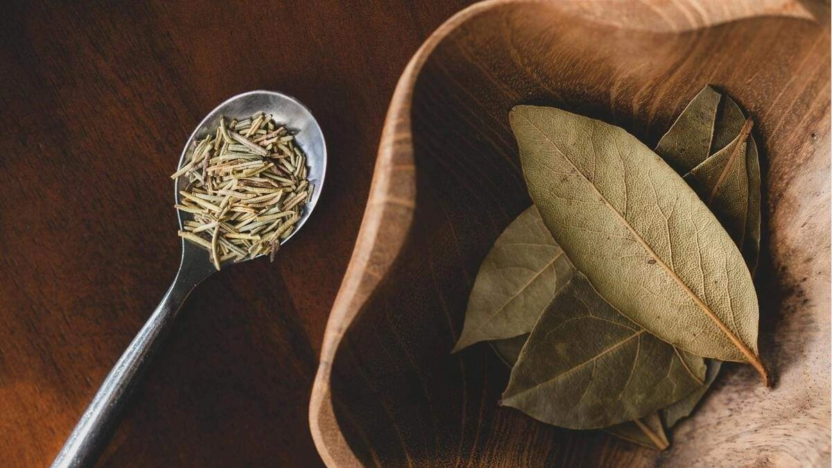 Hình nền lá nguyệt quế vàng Pinterest thời thượng