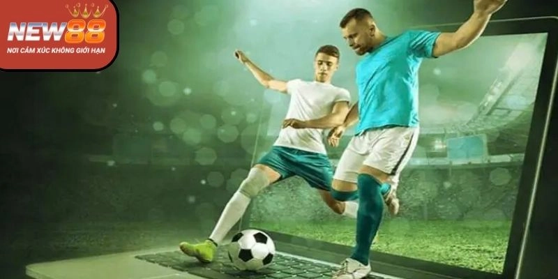 Các môn thể thao nổi bật tại New88 Casino