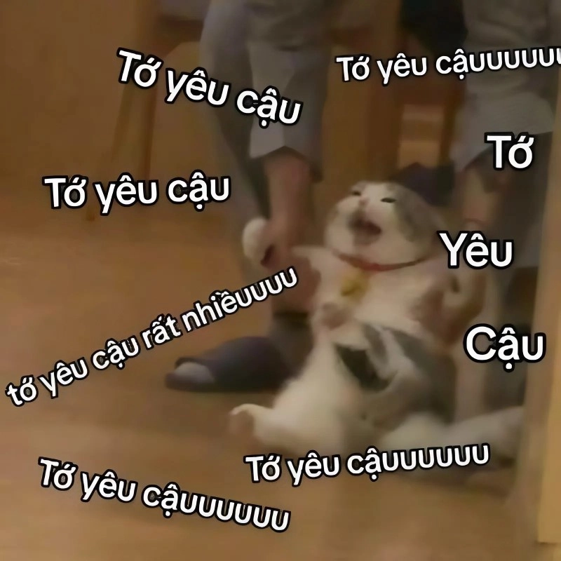 Meme tình yêu vũ trụ bao la không điểm dừng