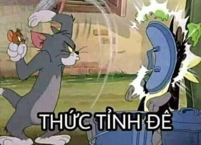 Meme tức giận cute nhìn mà không dám cười