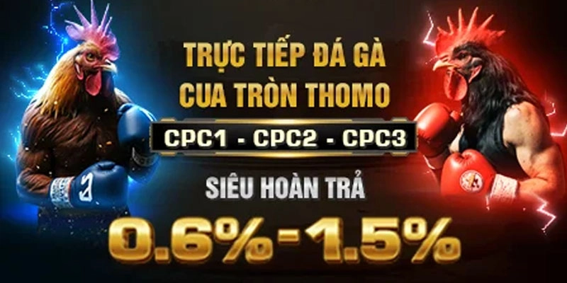  Dữ liệu lịch sử đấu tại E2BET đá gà, giúp chọn kèo chuẩn 