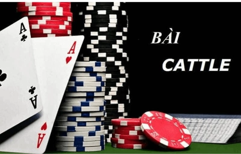 Tại sao game bài catte tại Fun88 thu hút người chơi đến vậy?