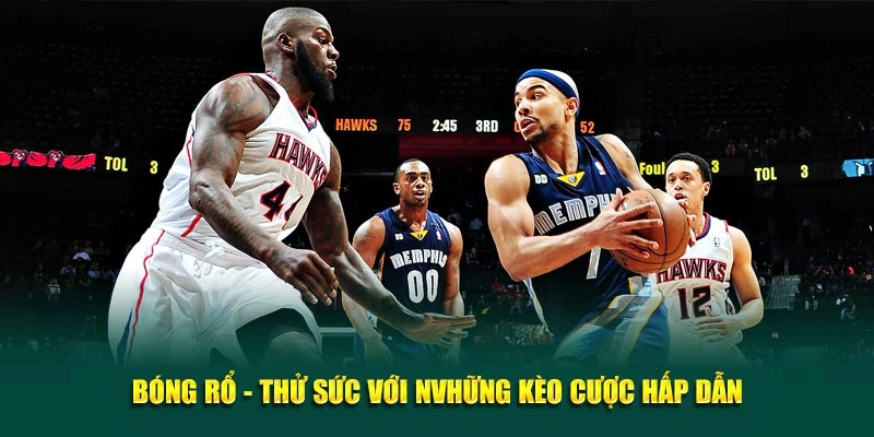 Bóng rổ - Thử sức với những kèo cược hấp dẫn