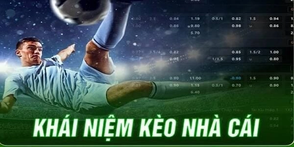 Những loại kèo phổ biến và cách chọn kèo phù hợp tại bongdawap