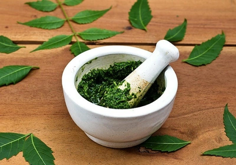  Lá thuốc nam cần được rửa sạch trước khi đắp.