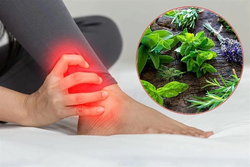  Đắp lá thuốc nam giúp giảm đau, kháng viêm tự nhiên.