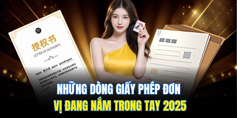 Những dòng giấy phép đơn vị đang nắm trong tay 2025