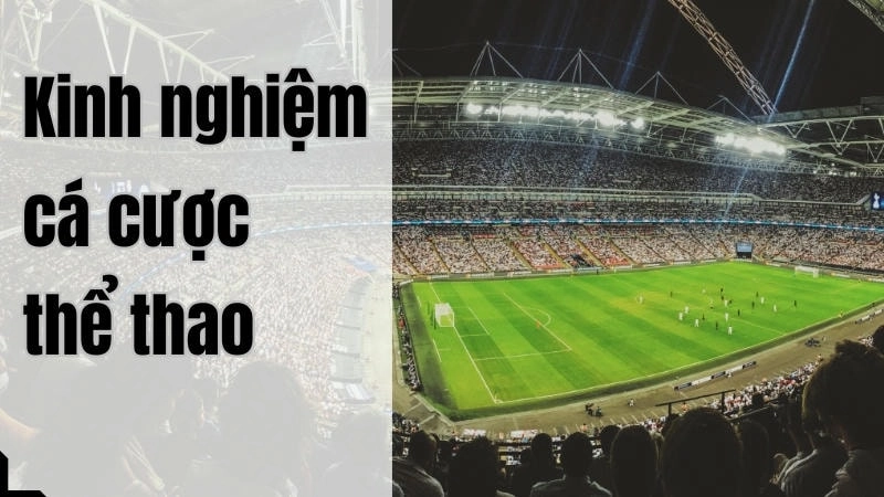 Hướng dẫn tham gia cá cược bóng đá tại HUBET