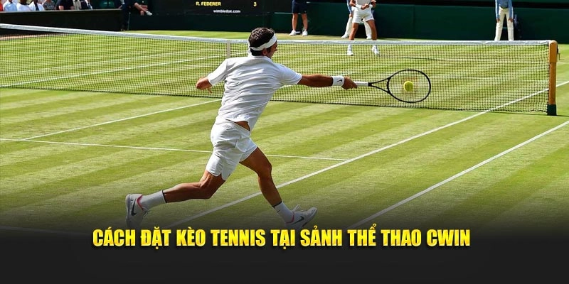Cách đặt kèo tennis tại sảnh thể thao Cwin05