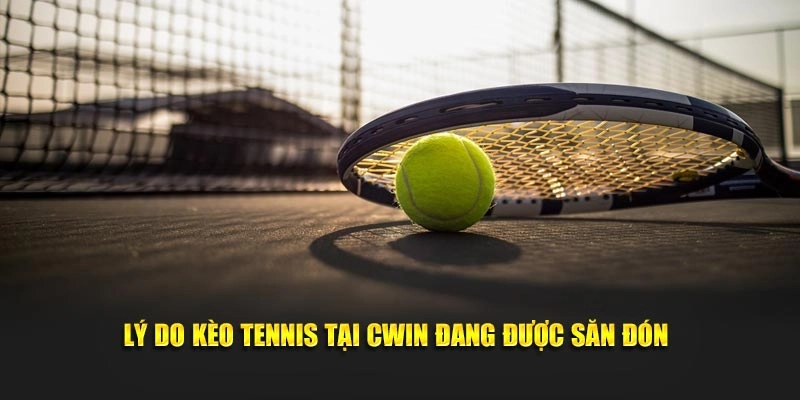 Lý do kèo tennis đang được săn đón