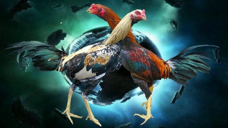 Nhận biết cửa mạnh – cửa yếu qua bảng kèo