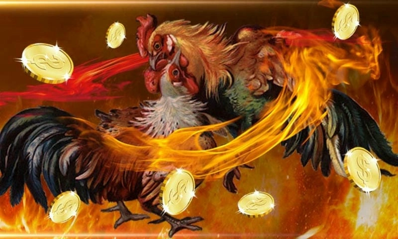  Bảng kèo đá gà trực tuyến hấp dẫn tại nhà cái f168.