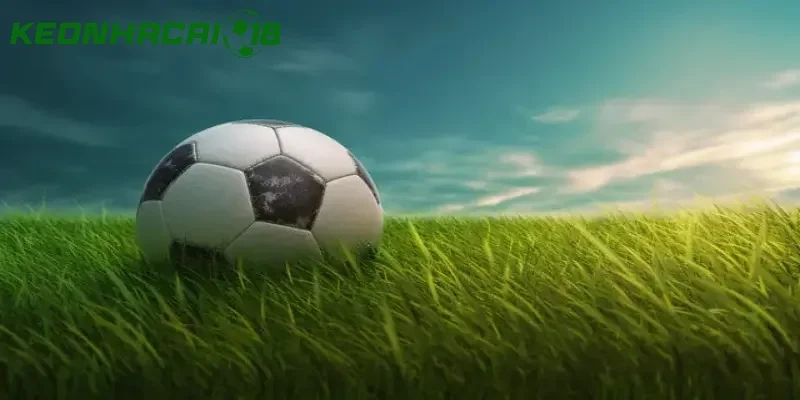 Nguyên tắc cơ bản khi bắt kèo thông minh