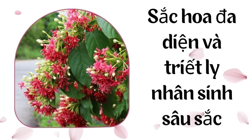 Ứng dụng của sử quân tử trong đời sống tâm linh