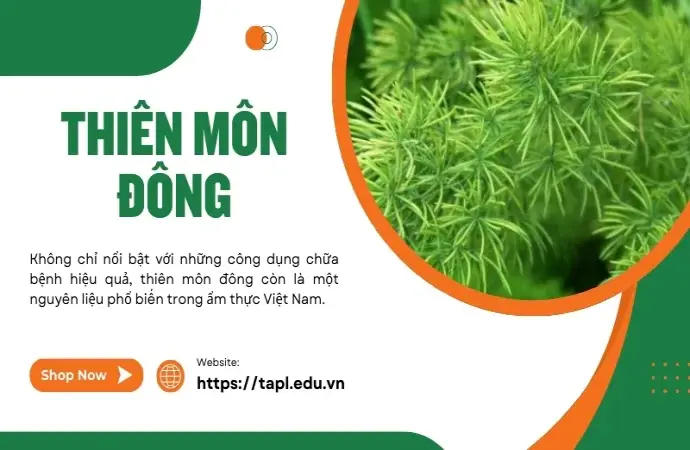 Thiên môn đông - Thần dược chữa bệnh từ thiên nhiên