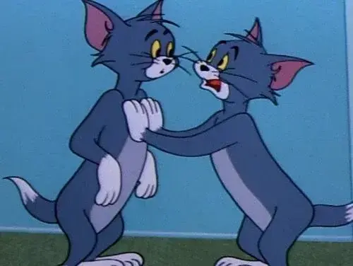 Khám phá bộ ảnh Tom và Jerry meme hài hước nhất trên MXH