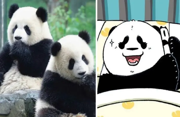 Tải ngay avatar gấu siêu cute chạm đỉnh biểu cảm đáng yêu