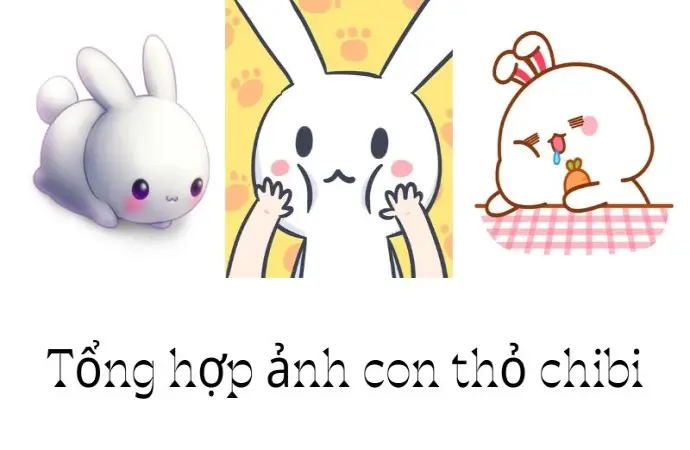 Bộ 55+ ảnh con thỏ chibi cực cute ai khiến cũng mê mẩn
