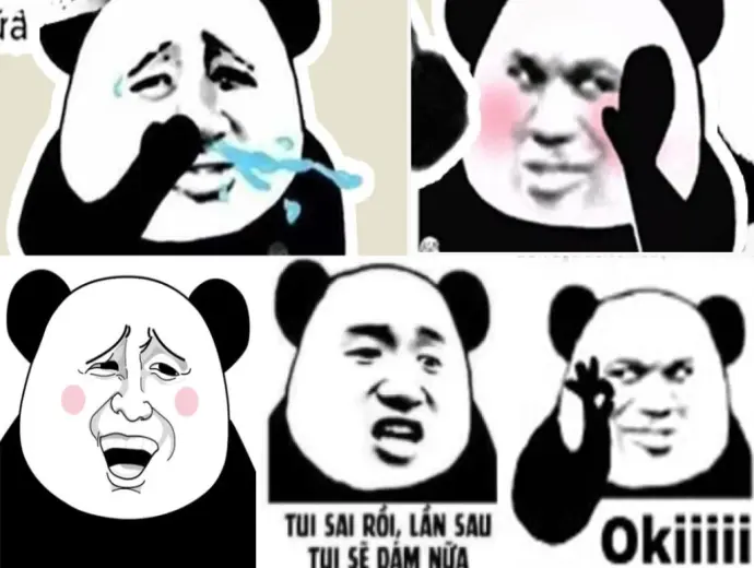 Cười thả ga với meme gấu trúc đáng yêu và cực kỳ thú vị