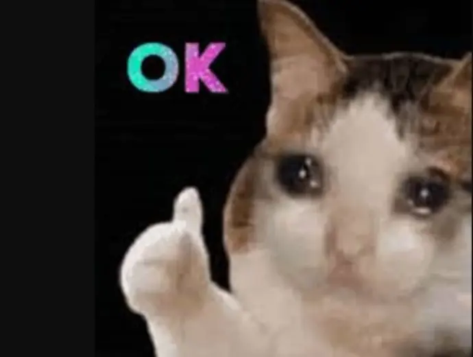 Cười xỉu với loạt ảnh ok meme đỉnh cao lan truyền mạnh