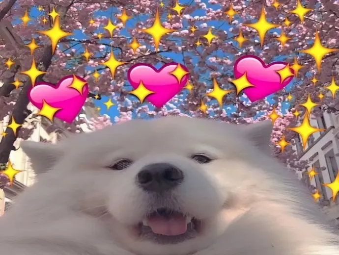 Tổng hợp meme tình yêu hài hước khiến ai cũng bật cười