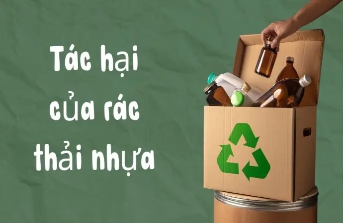 Tác hại của rác thải nhựa khiến hệ sinh thái suy sụp