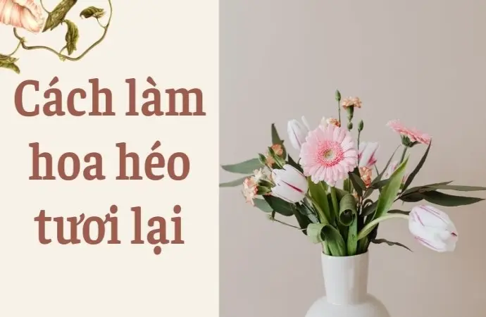 Cách làm hoa héo tươi lại đơn giản ai cũng làm được