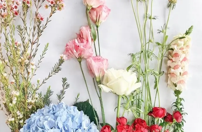 Những loài hoa đẹp nhất thế giới làm say lòng người